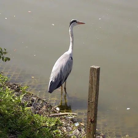 B&B Vintage 피아노로