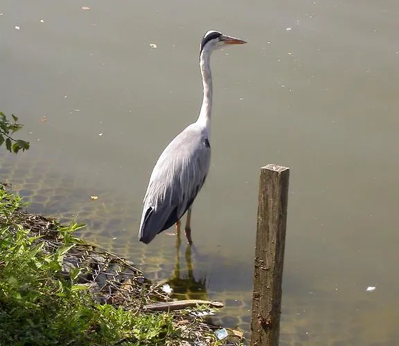 Frühstückspension Vintage Pianoro